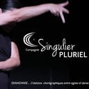 Cie Singulier Pluriel