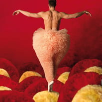 Tutu la Danse dans Tout Ses États
