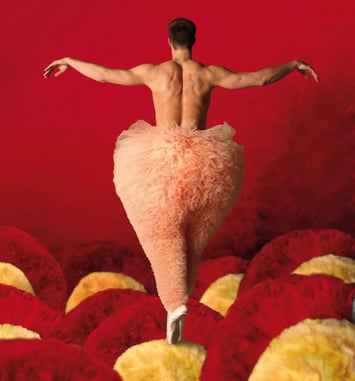 Tutu la Danse dans Tout Ses États