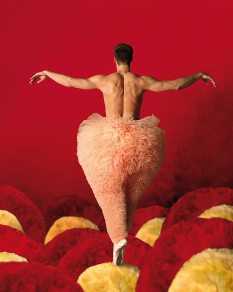 Tutu, la danse dans tous ses états