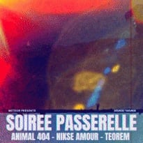 Animal 404 et Nikse Amour et Teorem