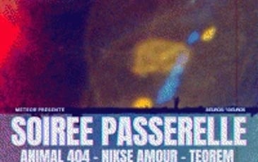 Animal 404 et Nikse Amour et Teorem