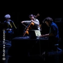 Bianchi Hoesch, Cassol et Viret : Notes on the Memory of Notes