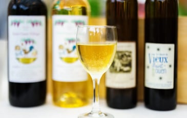 Atelier œnologie : apprenez à identifier les différents arômes et saveurs présents dans le vin