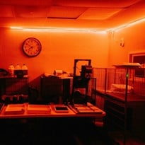 Découverte de la chambre noire argentique