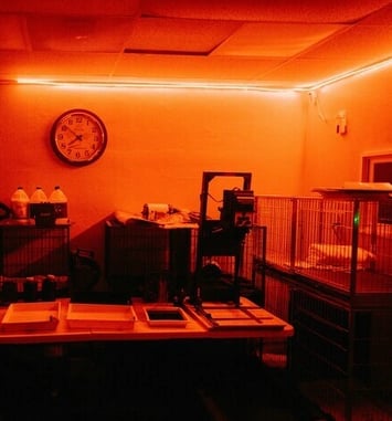 Découverte de la chambre noire argentique