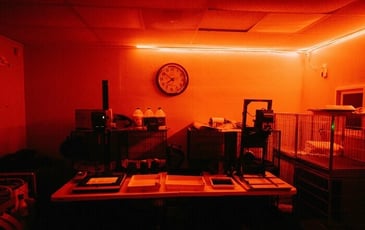 Découverte de la chambre noire argentique