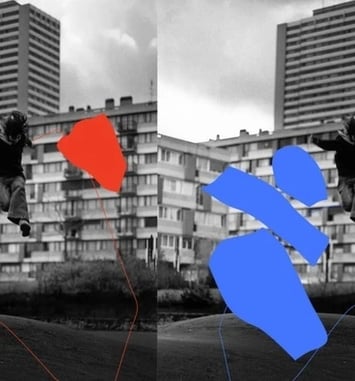 Visite des murs vivants