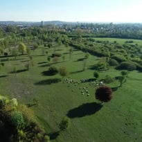 Visite du parc de la Haute-Ile