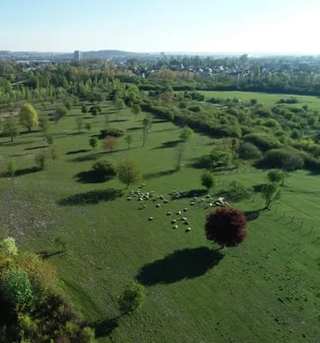 Visite du parc de la Haute-Ile