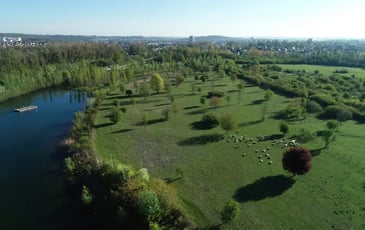 Visite du parc de la Haute-Ile