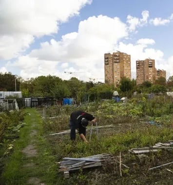 Visite des jardins ouvriers des Vertus à Aubervilliers