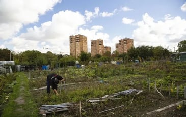 Visite des jardins ouvriers des Vertus à Aubervilliers