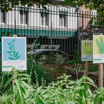 Atelier en famille – Les plantes magiques