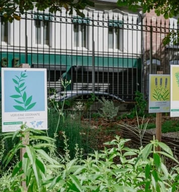 Atelier en famille – Les plantes magiques