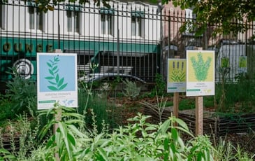 Atelier en famille – Les plantes magiques