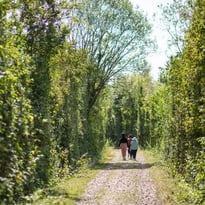 Balade Botaniste au parc de la Haute-Ile
