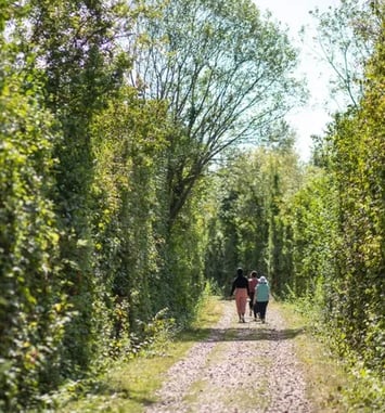 Balade Botaniste au parc de la Haute-Ile