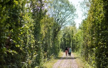 Balade Botaniste au parc de la Haute-Ile