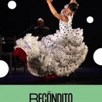 Lucia La Bronce : Recondito