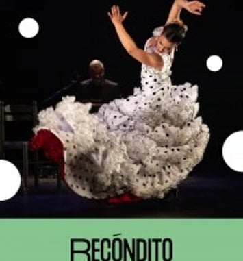 Lucia La Bronce : Recondito