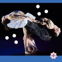 Florence Caillon : Le Lac des Cygnes