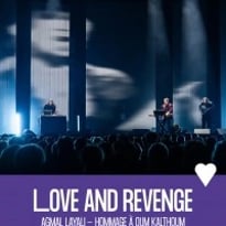 Love and Revenge