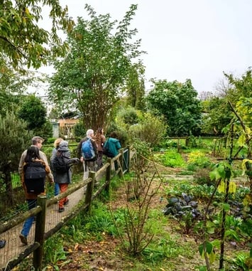Entre nature et ville : les formes de résilience écologique, Visite et atelier de cyanotype