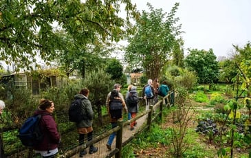 Entre nature et ville : les formes de résilience écologique, Visite et atelier de cyanotype