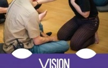 Vision