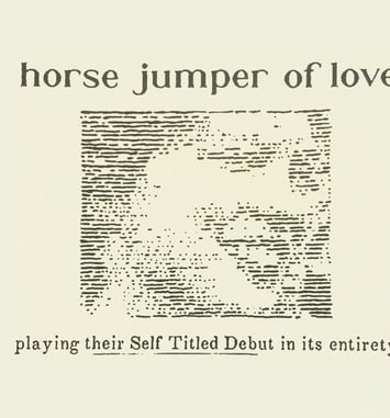 Take Me Out : Horse Jumper of Love en concert !