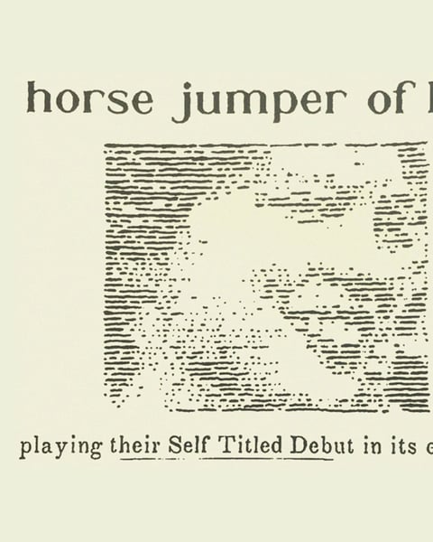 Take Me Out : Horse Jumper of Love en concert !