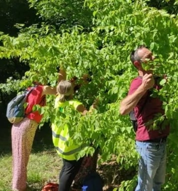 A la découverte des fruits d'antan : jeu de pistes et atelier cuisine