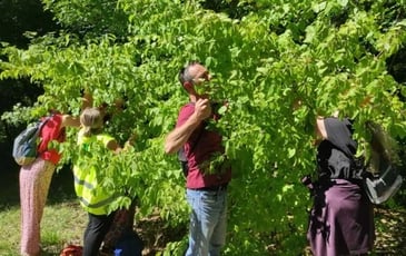A la découverte des fruits d'antan : jeu de pistes et atelier cuisine