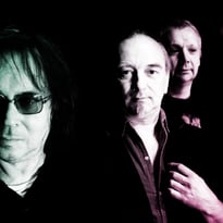 The Legendary Pink Dots