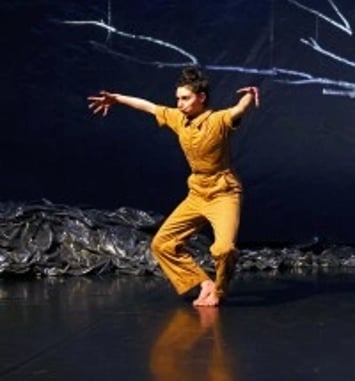 Joanne Leighton : Le Chemin du Wombat au Nez Poilu