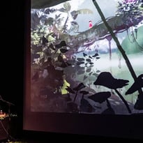 Fabuleuses intrépides, ciné-concert