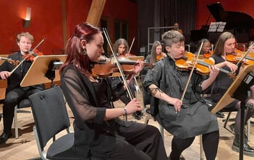 Les cordes pincées invitent