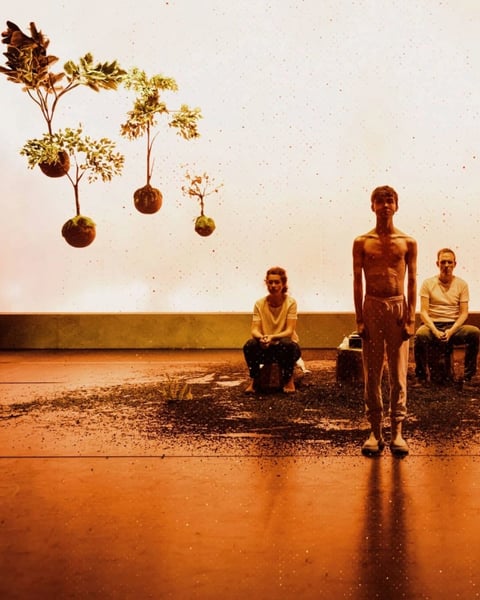 Le Pays innocent