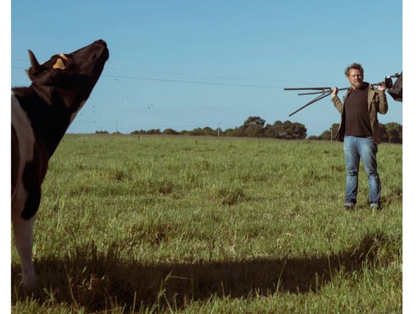 Mon père avait 3 vaches