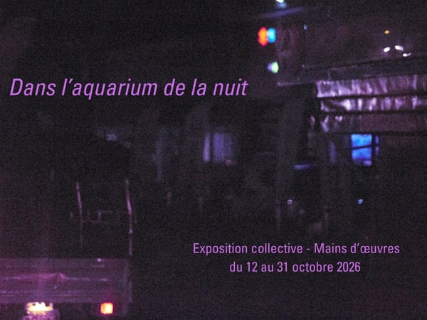 Dans l'aquarium de la nuit