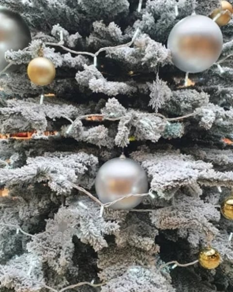 Marché de Noel au Blanc-Mesnil
